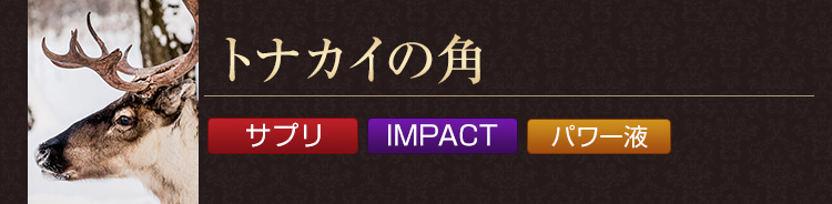 トナカイの角